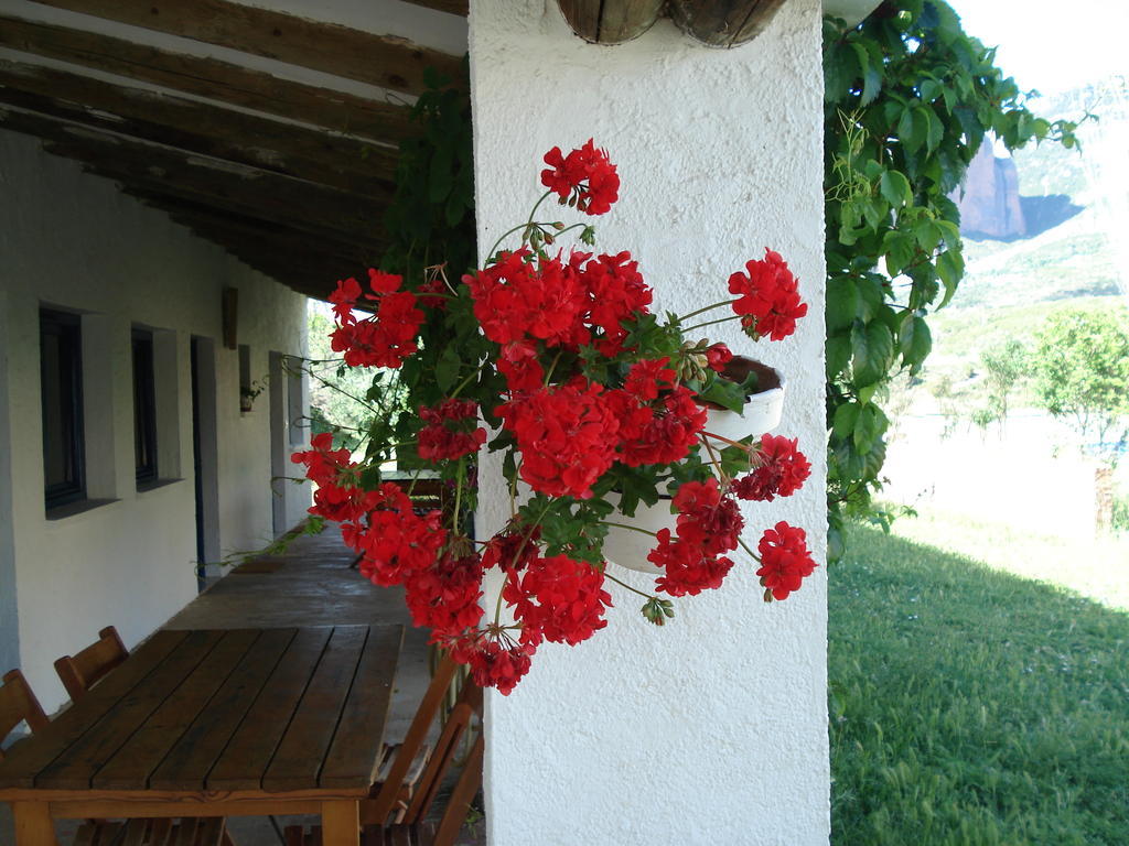 Camping Bungalows Armalygal Murillo de Gállego Habitación foto